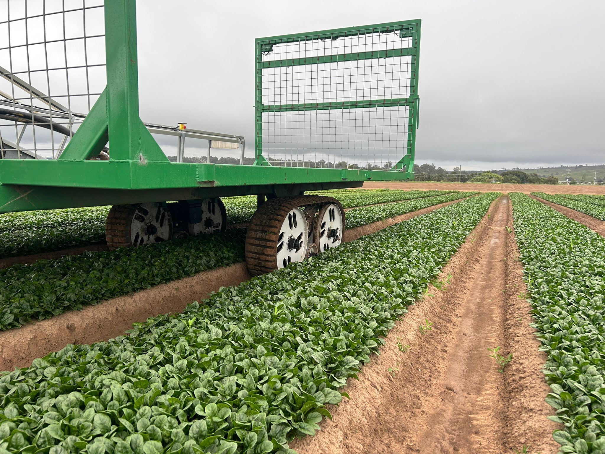 VMTS trailed track system in crop